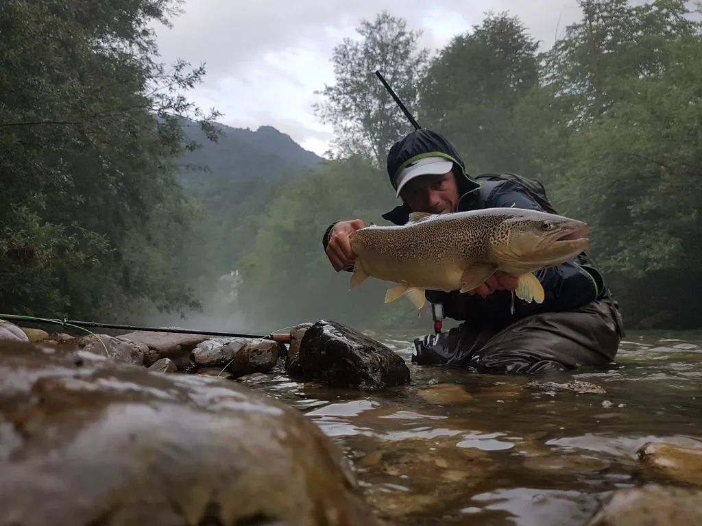 Angler caught a big fish in Soča